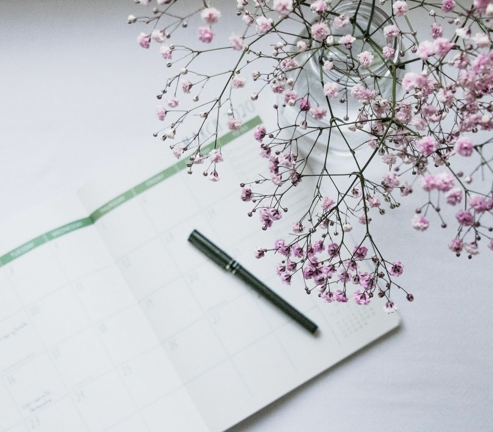 iSpirit Storybooks, Literary Journeys and Anthologies