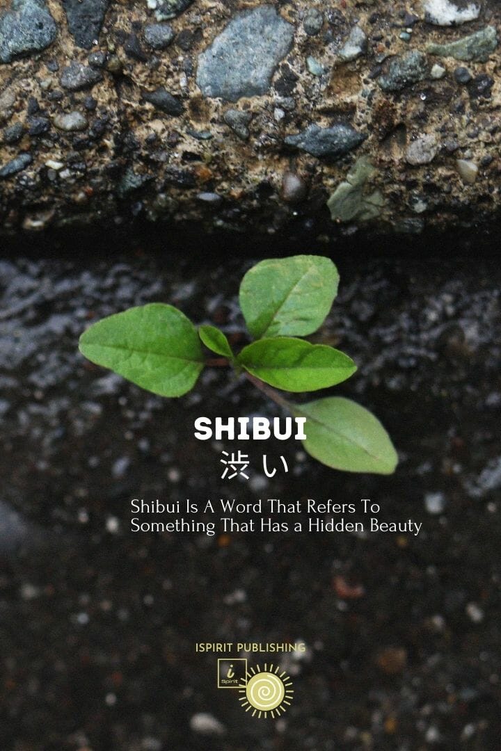 Japanese enchanted words-Shibui 渋 い