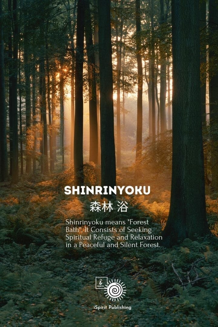 Poetic Japanese expressions-Shinrinyoku 森林 浴