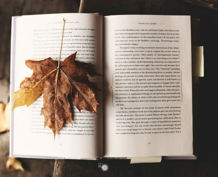 Become a co-author at iSpirit