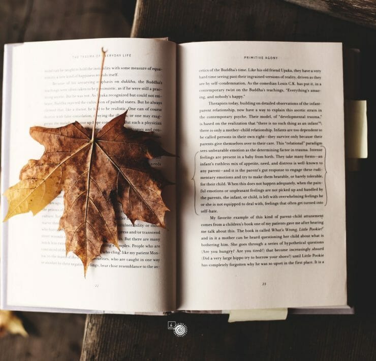 Become a co-author at iSpirit