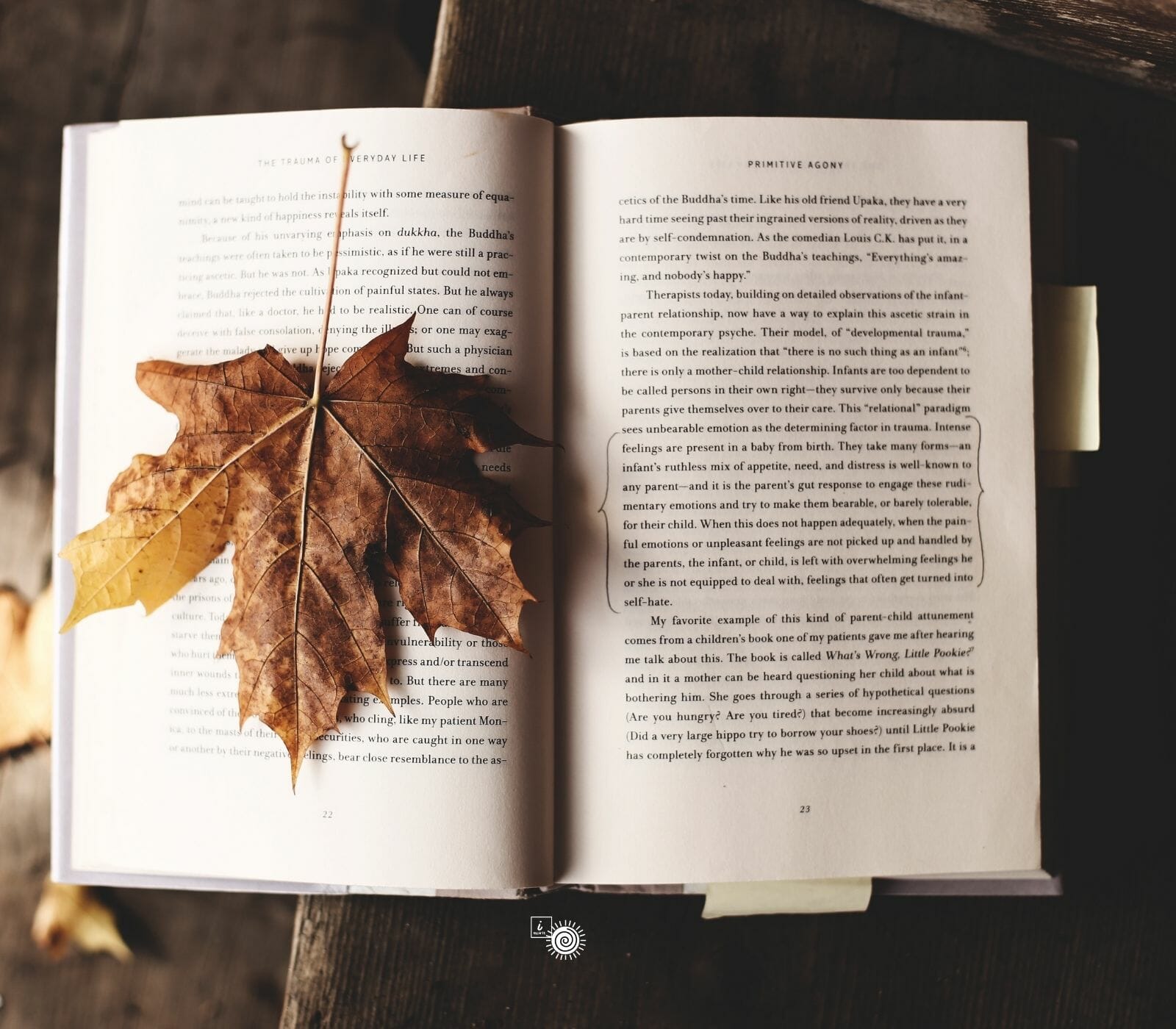 Become a co-author at iSpirit