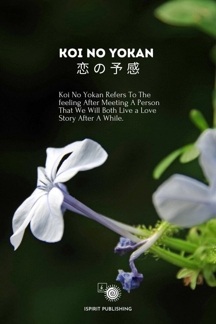 Japanese poetic words-Koi No Yokan 恋 の 予 感