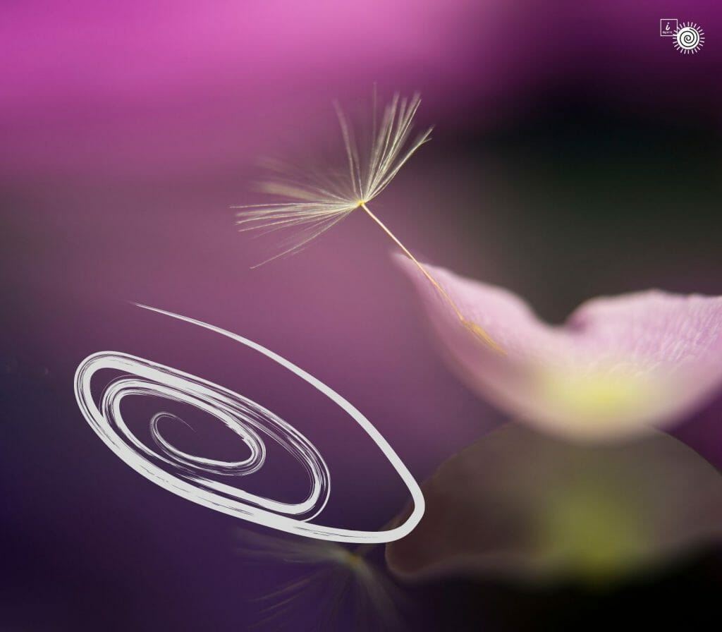 soul purpose-soul Blueprint