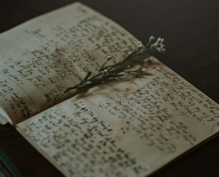 Writing a Memoir: Transforming Scars into Stories