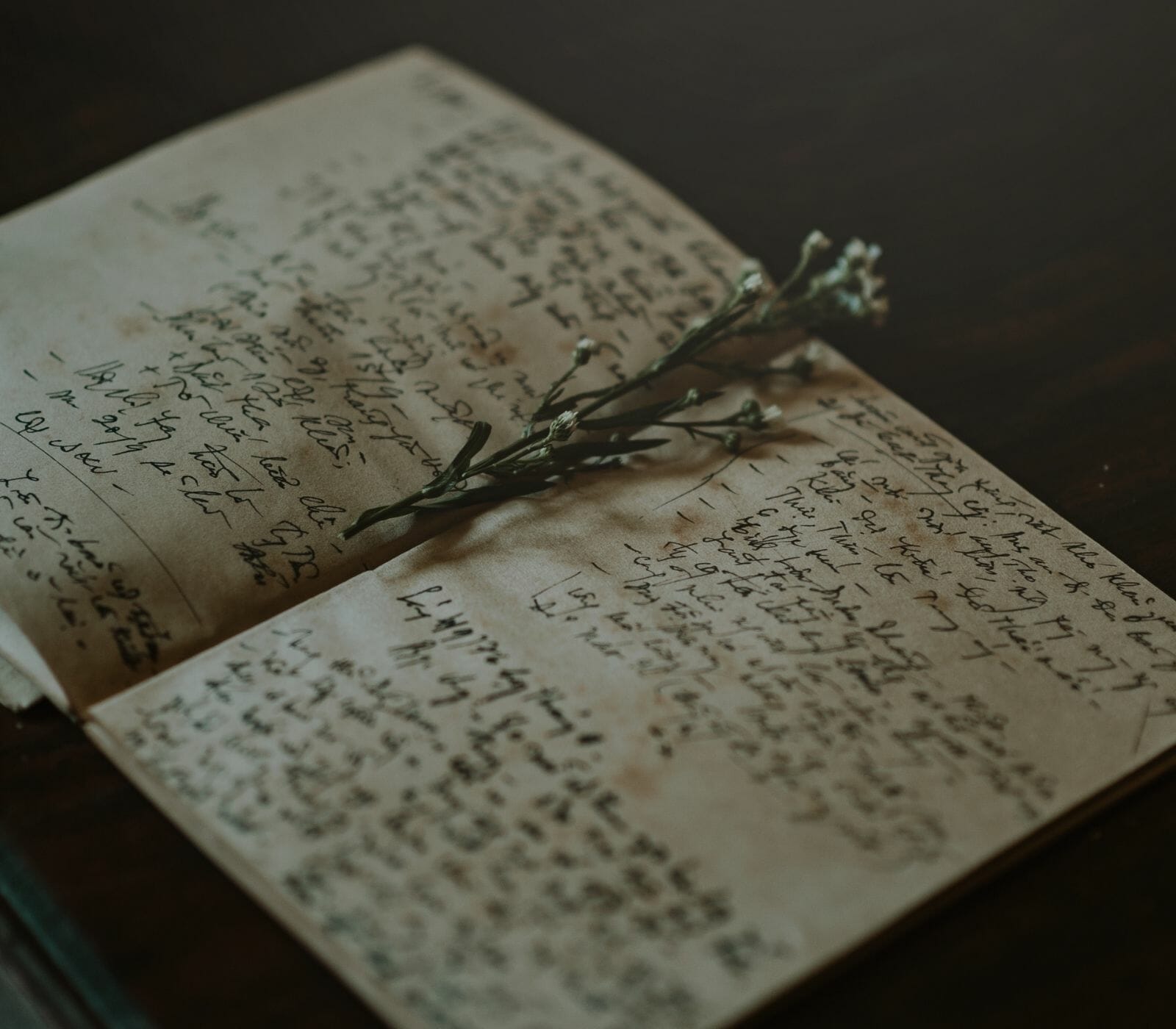 Writing a Memoir: Transforming Scars into Stories