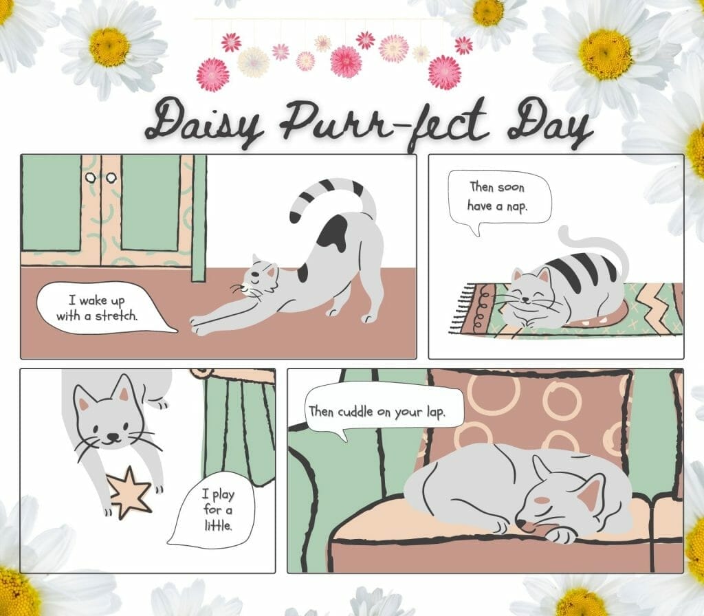 pet storybook-cartoon